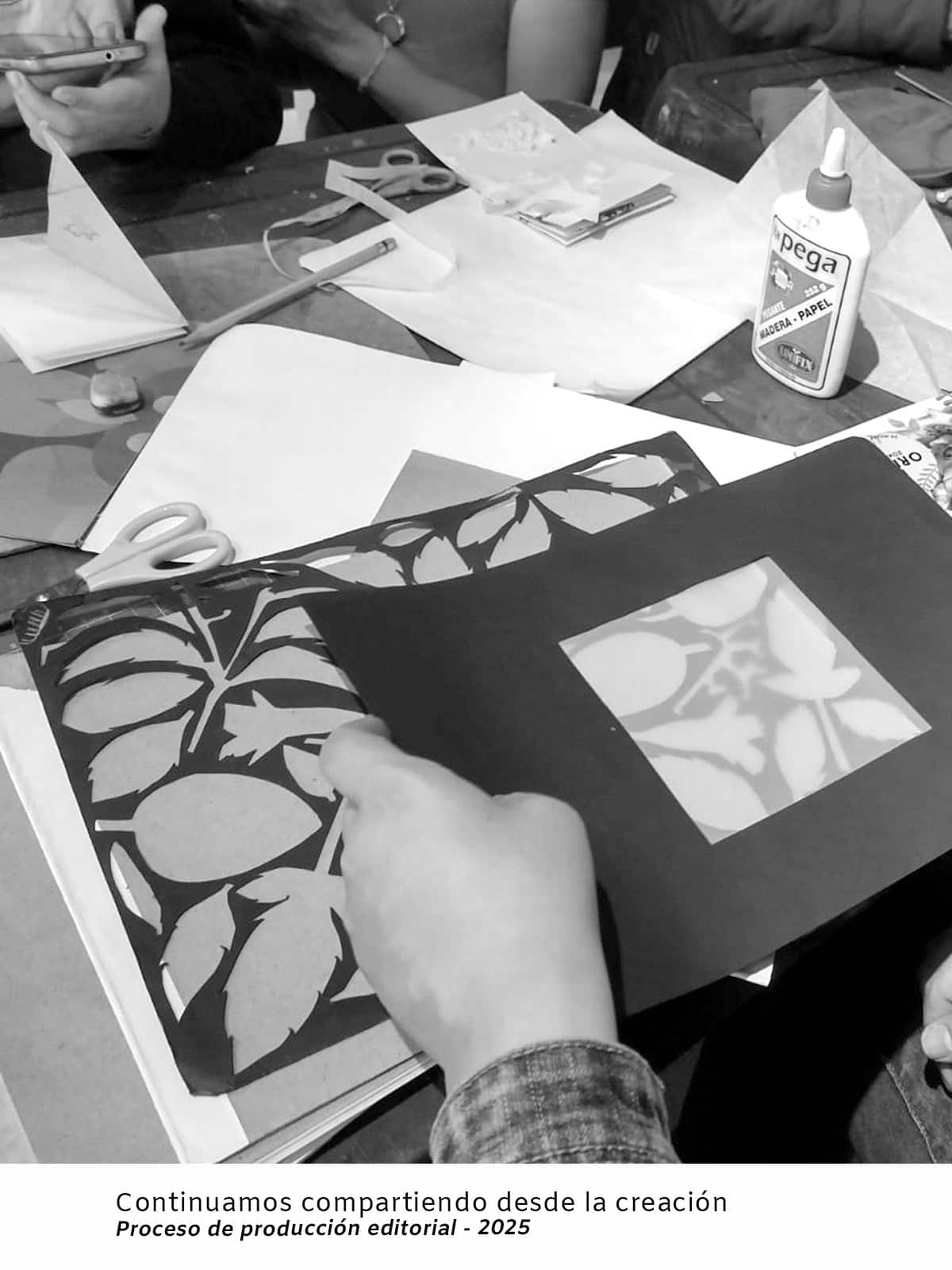Compartir 2025